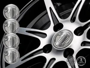 Wheel Emblem Brand Radiant Flow Way